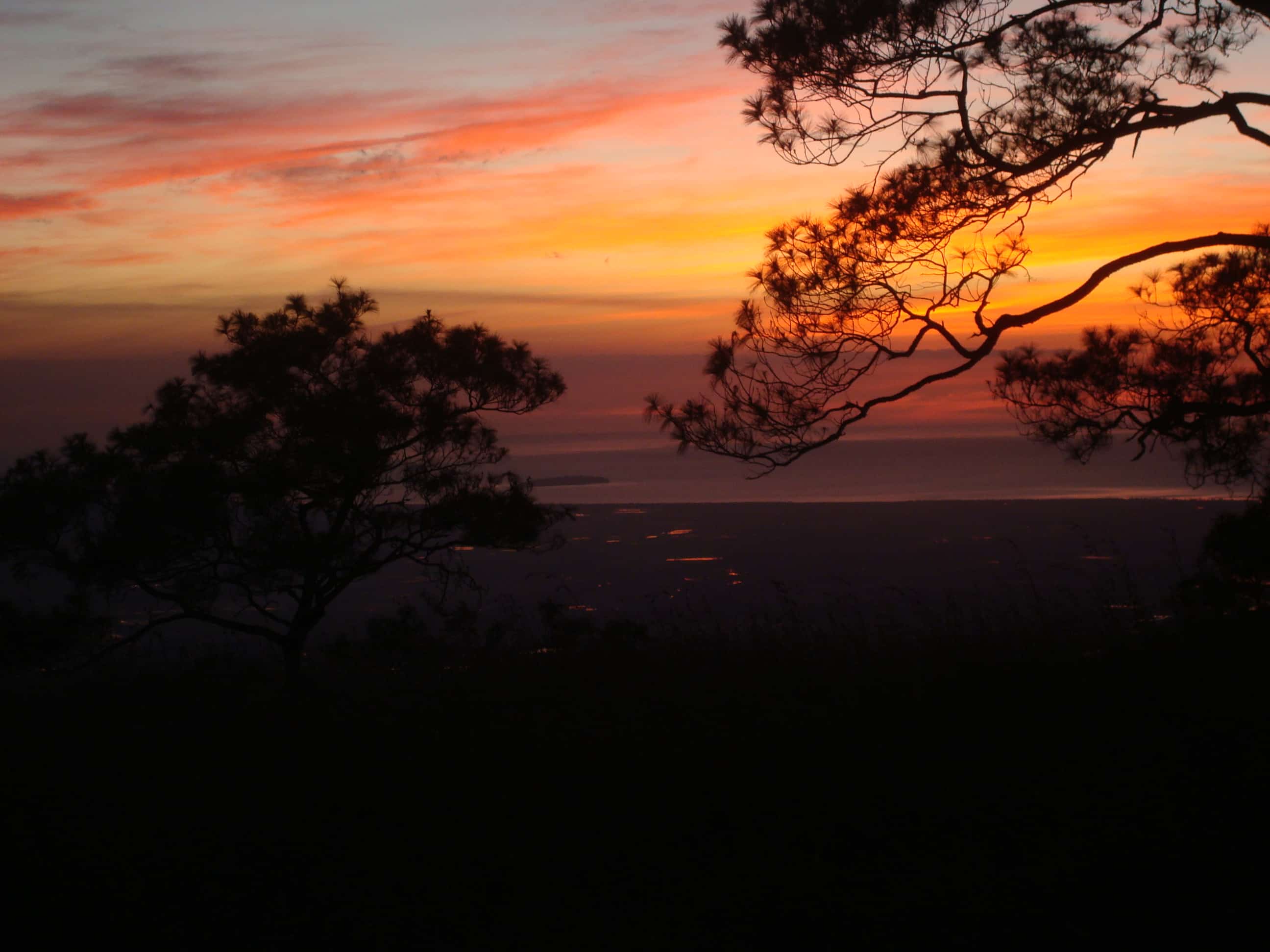 Sonnenuntergang auf den Mindoro Pines